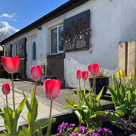 The Stables @ The Forge Cronk Y Voddy Saint Johns Exterior foto