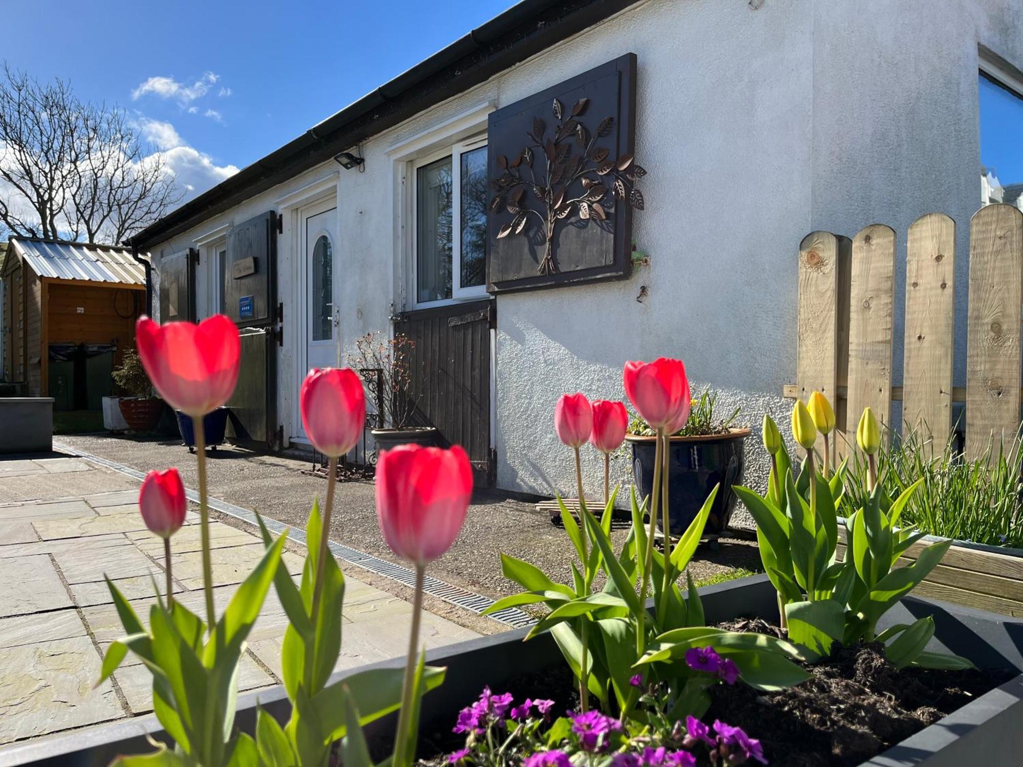 The Stables @ The Forge Cronk Y Voddy Saint Johns Exterior foto